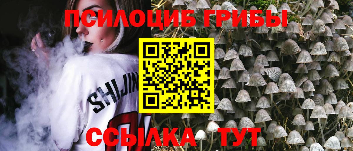 Галлюциногенные грибы Psilocybine cubensis Ишимбай