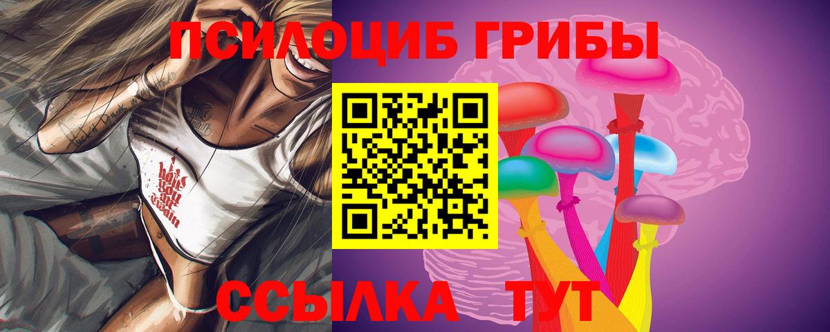 наркошоп  Вход с VPN  Ишимбай  Псилоцибиновые грибы Psilocybine cubensis 